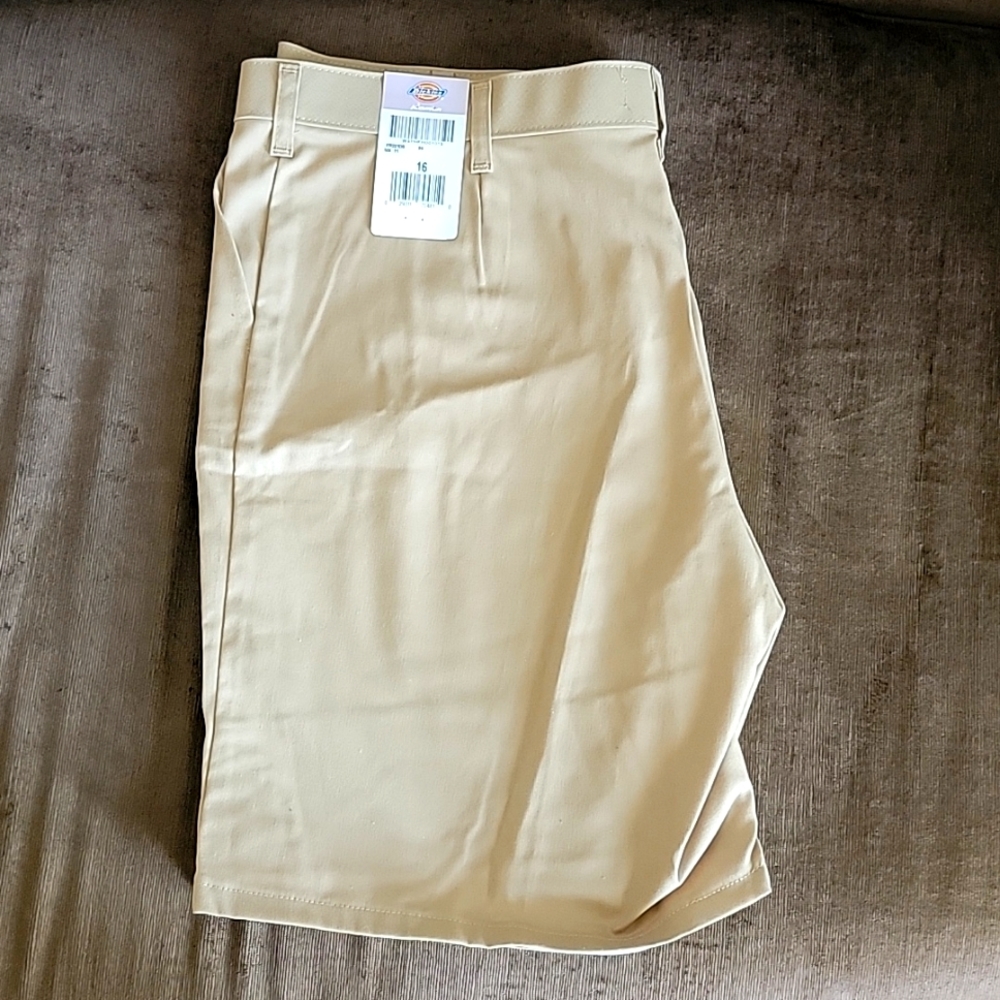 Dickies Performance Cargo Shorts 16
